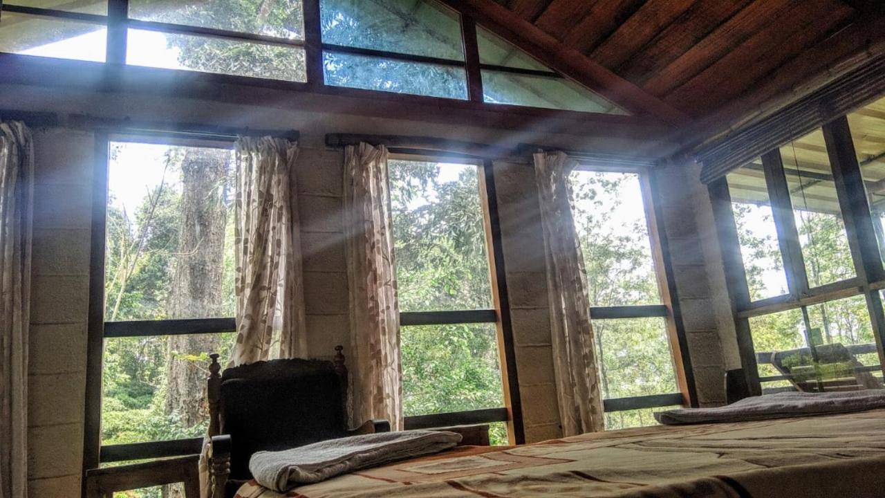 Jungle Jive Treehouse And Farm House 蒙纳 外观 照片
