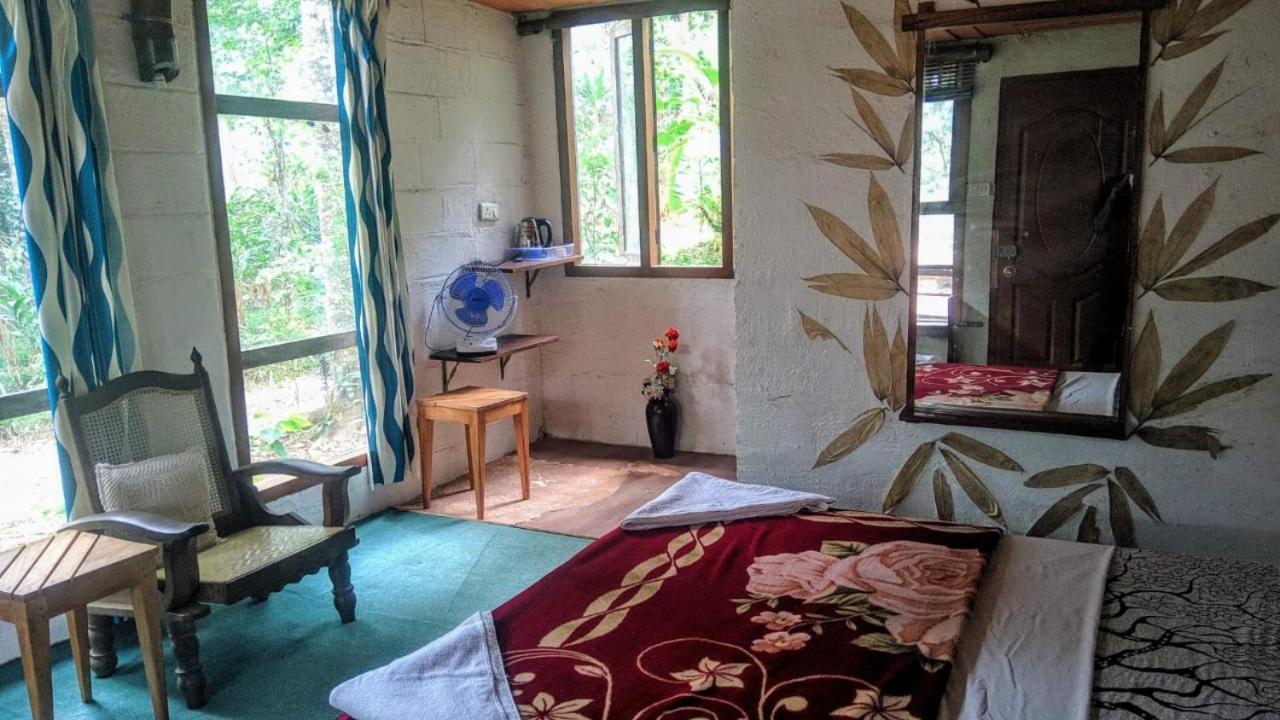 Jungle Jive Treehouse And Farm House 蒙纳 外观 照片