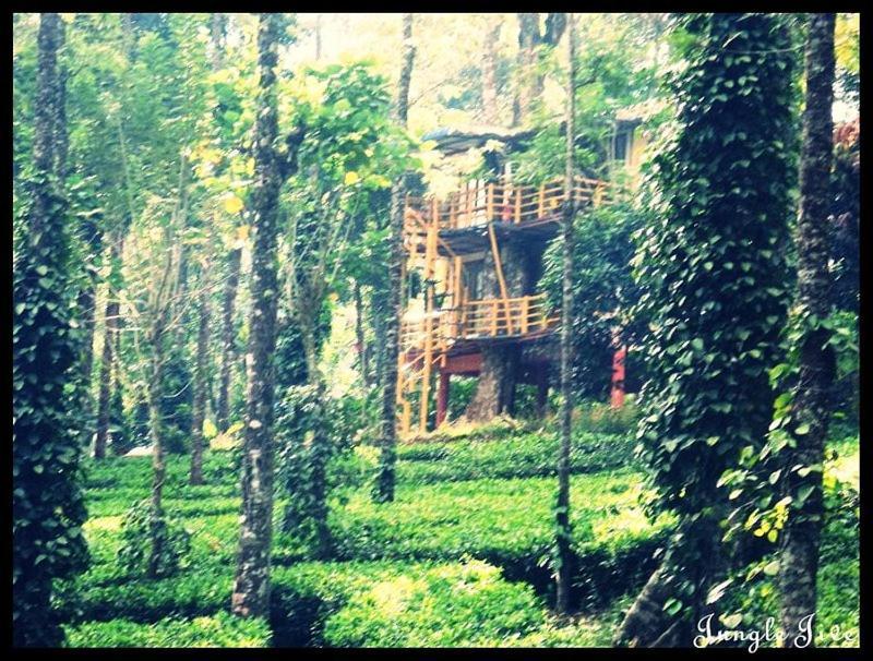 Jungle Jive Treehouse And Farm House 蒙纳 外观 照片