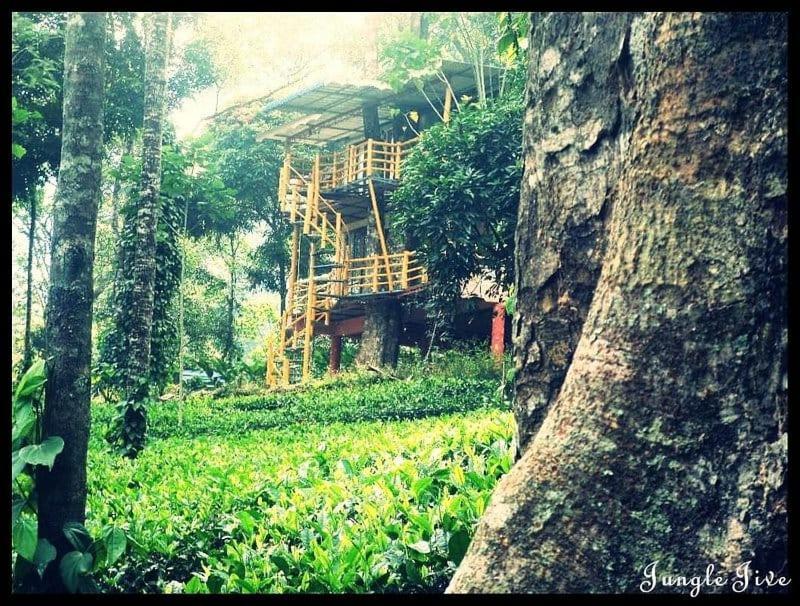 Jungle Jive Treehouse And Farm House 蒙纳 外观 照片
