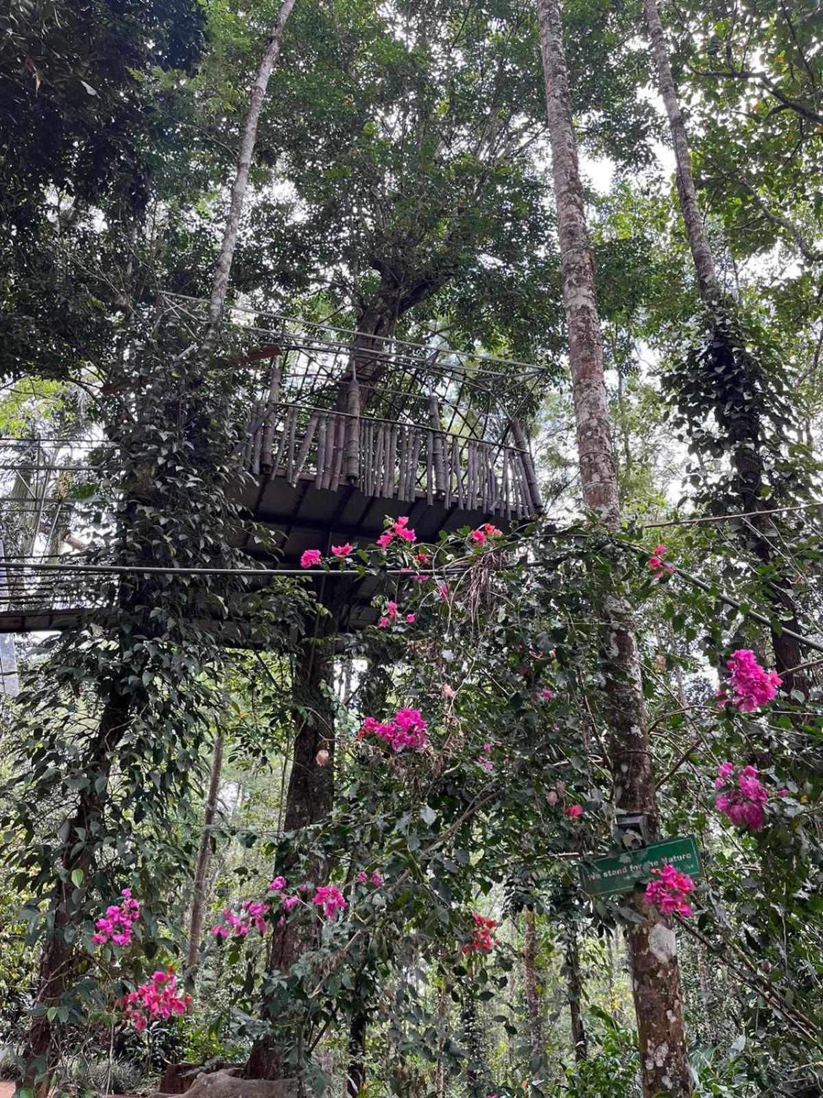 Jungle Jive Treehouse And Farm House 蒙纳 外观 照片