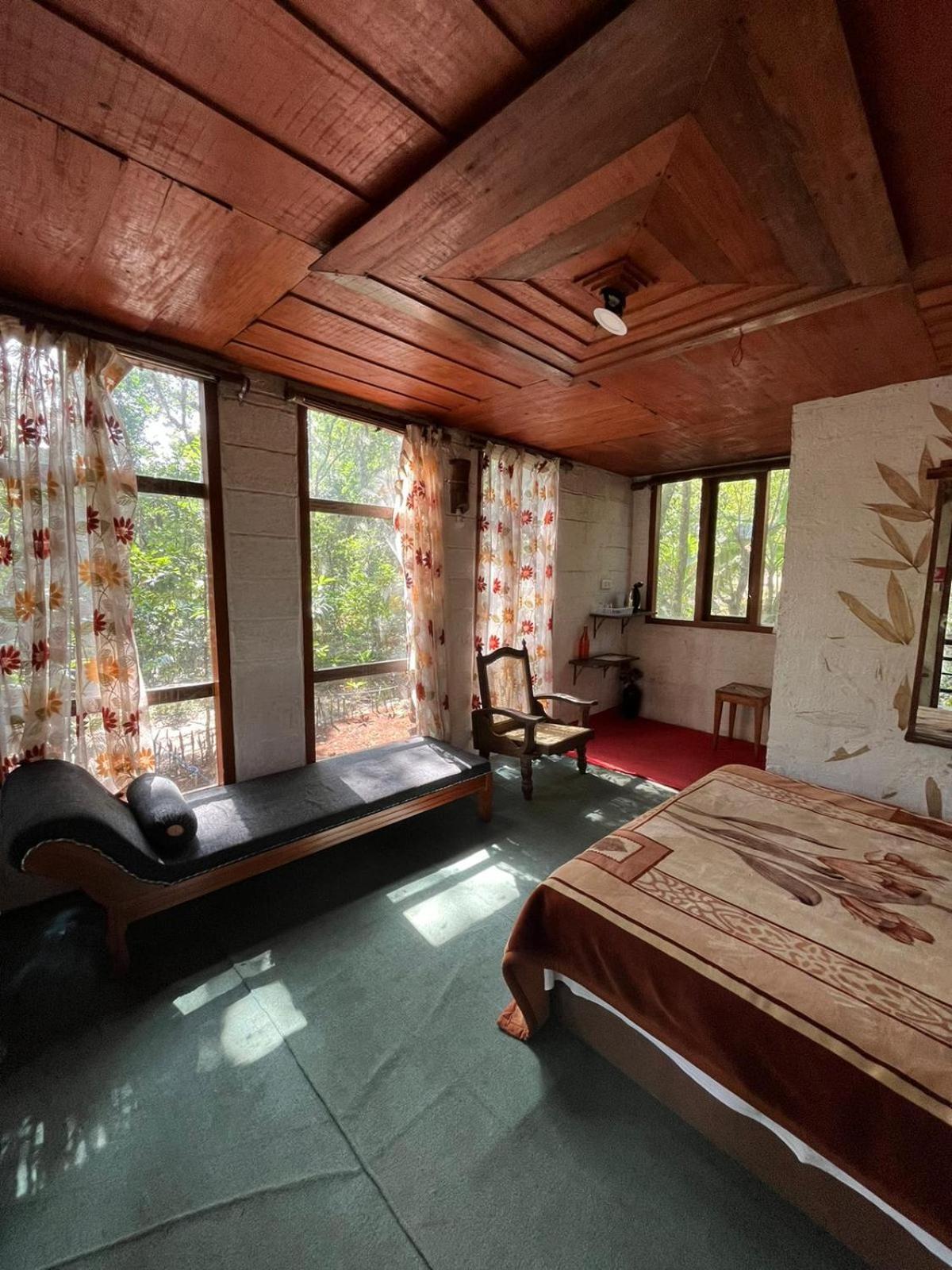 Jungle Jive Treehouse And Farm House 蒙纳 外观 照片