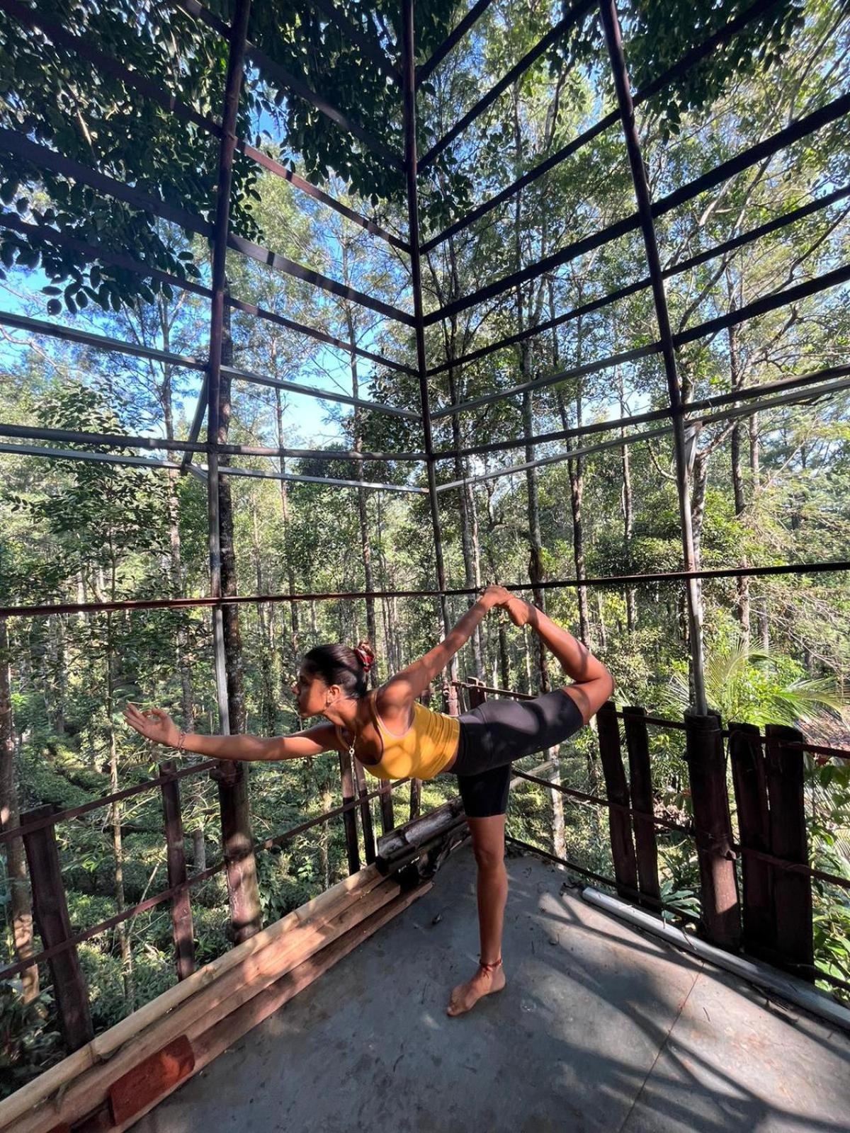 Jungle Jive Treehouse And Farm House 蒙纳 外观 照片