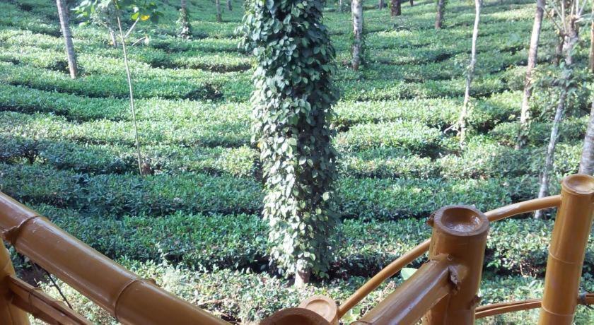 Jungle Jive Treehouse And Farm House 蒙纳 外观 照片